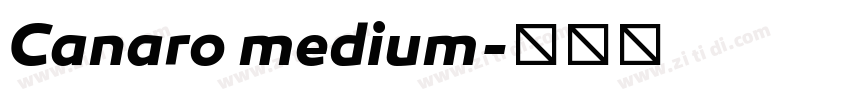 Canaro medium字体转换